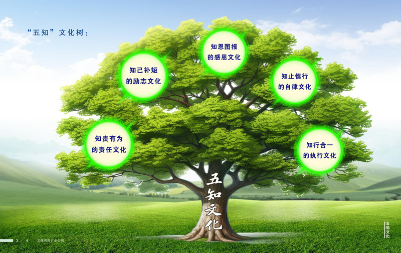 龙煤   画册Q_05.jpg