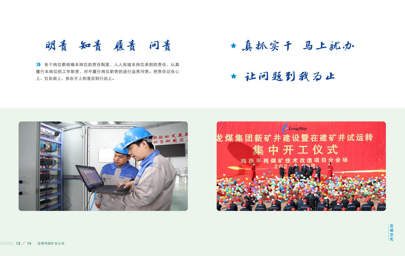 龙煤   画册Q_10.jpg