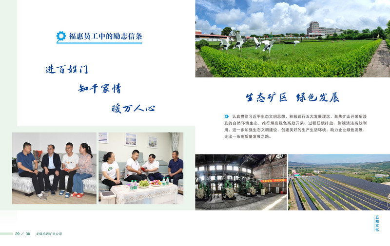 龙煤   画册Q_18.jpg